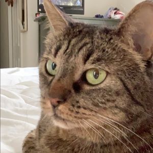 Meet your Posher, Ruby